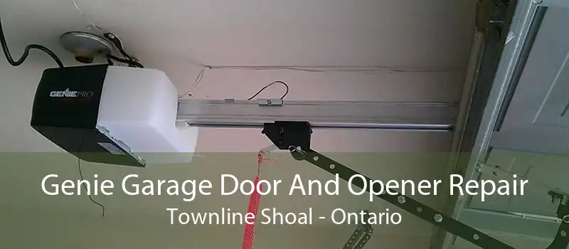 Genie Garage Door And Opener Repair Townline Shoal - Ontario