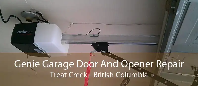 Genie Garage Door And Opener Repair Treat Creek - British Columbia
