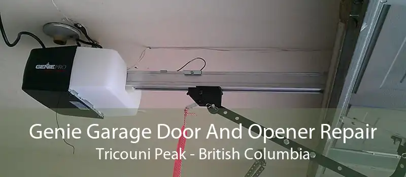 Genie Garage Door And Opener Repair Tricouni Peak - British Columbia