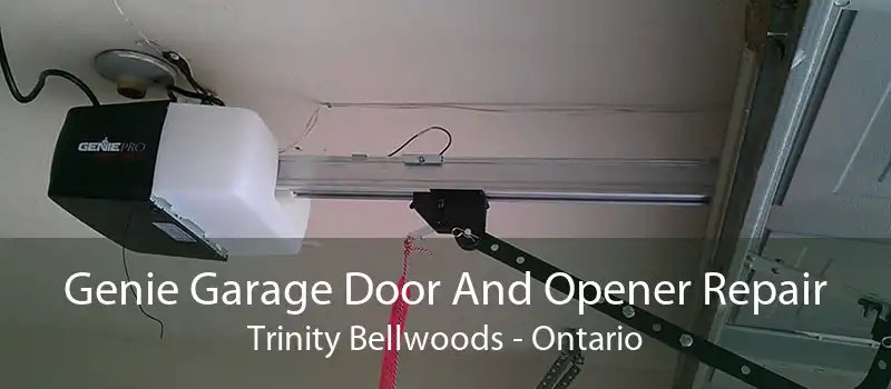 Genie Garage Door And Opener Repair Trinity Bellwoods - Ontario