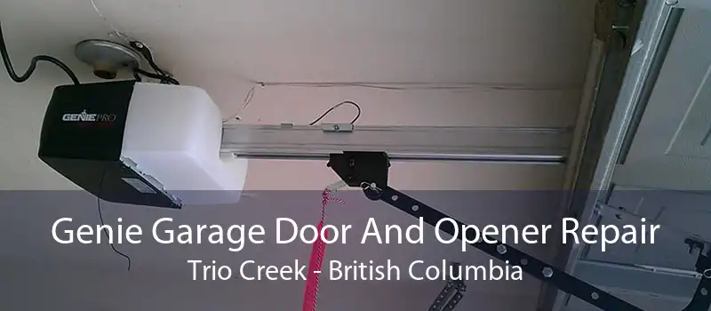 Genie Garage Door And Opener Repair Trio Creek - British Columbia
