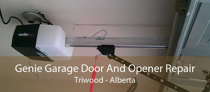 Genie Garage Door And Opener Repair Triwood - Alberta