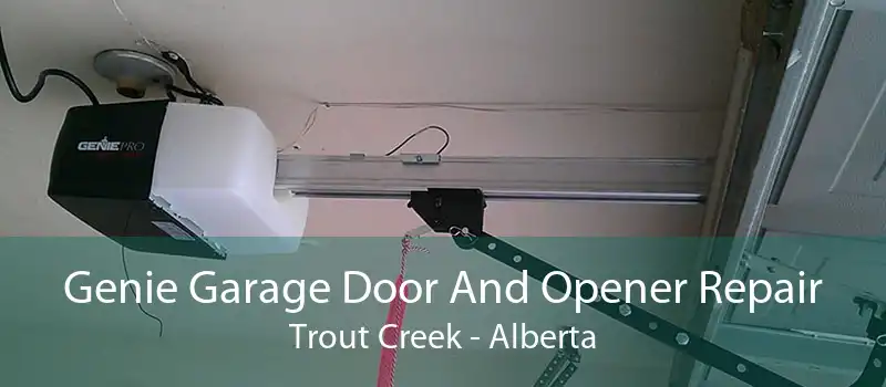 Genie Garage Door And Opener Repair Trout Creek - Alberta