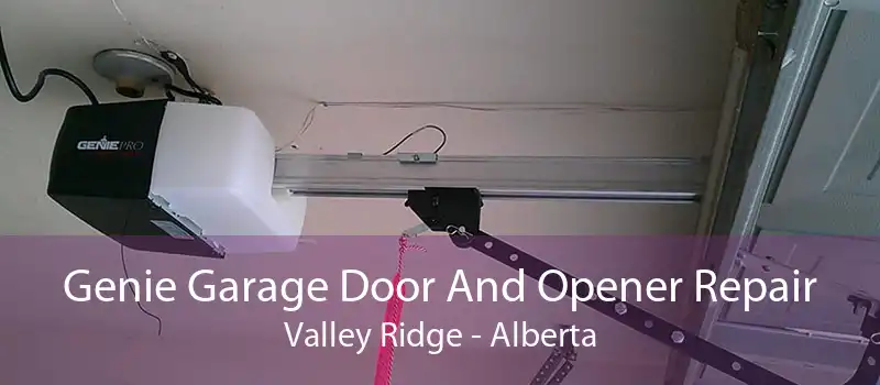 Genie Garage Door And Opener Repair Valley Ridge - Alberta
