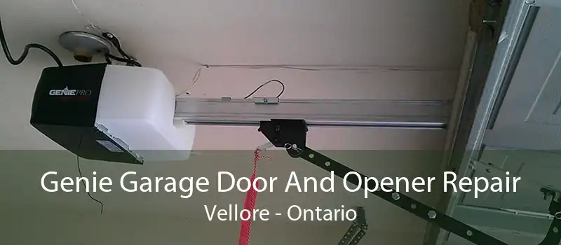 Genie Garage Door And Opener Repair Vellore - Ontario