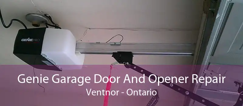 Genie Garage Door And Opener Repair Ventnor - Ontario