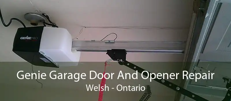 Genie Garage Door And Opener Repair Welsh - Ontario