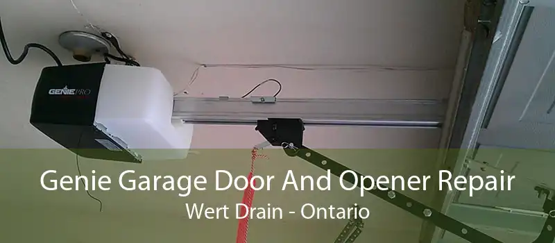 Genie Garage Door And Opener Repair Wert Drain - Ontario
