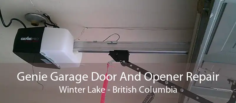 Genie Garage Door And Opener Repair Winter Lake - British Columbia