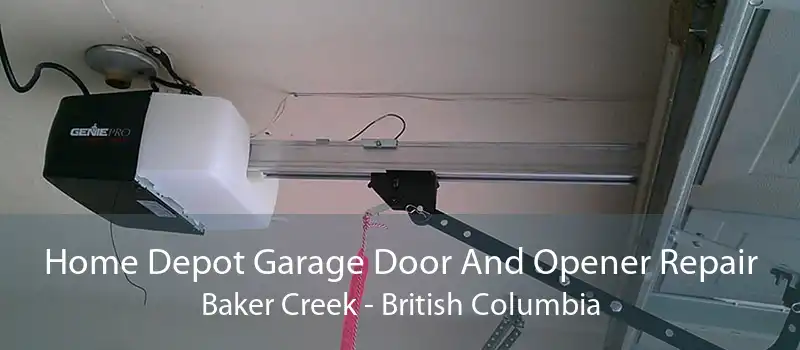 Home Depot Garage Door And Opener Repair Baker Creek - British Columbia