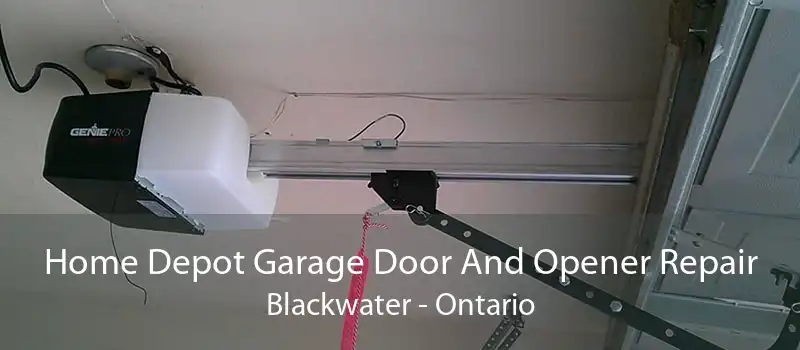 Home Depot Garage Door And Opener Repair Blackwater - Ontario