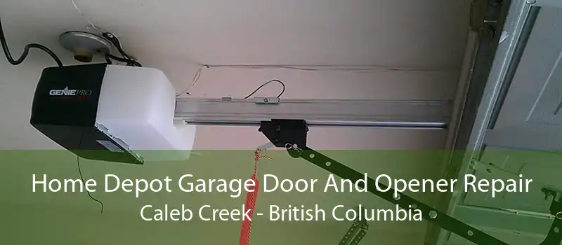 Home Depot Garage Door And Opener Repair Caleb Creek - British Columbia