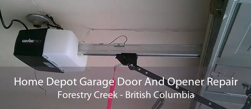 Home Depot Garage Door And Opener Repair Forestry Creek - British Columbia