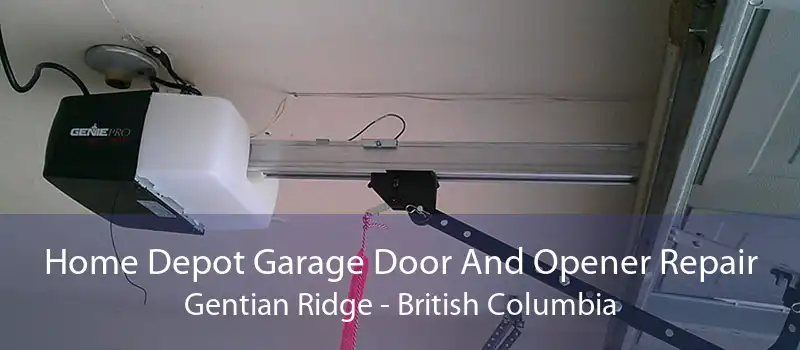 Home Depot Garage Door And Opener Repair Gentian Ridge - British Columbia