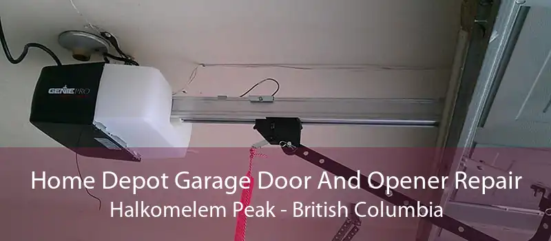 Home Depot Garage Door And Opener Repair Halkomelem Peak - British Columbia