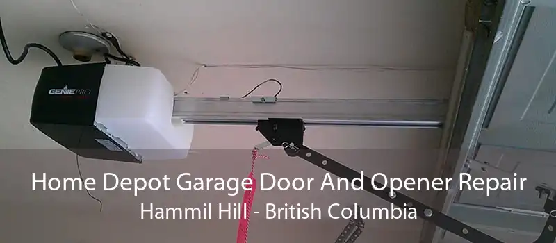 Home Depot Garage Door And Opener Repair Hammil Hill - British Columbia