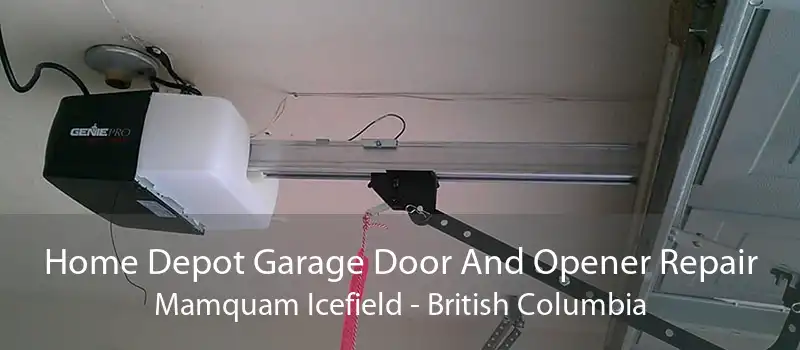 Home Depot Garage Door And Opener Repair Mamquam Icefield - British Columbia