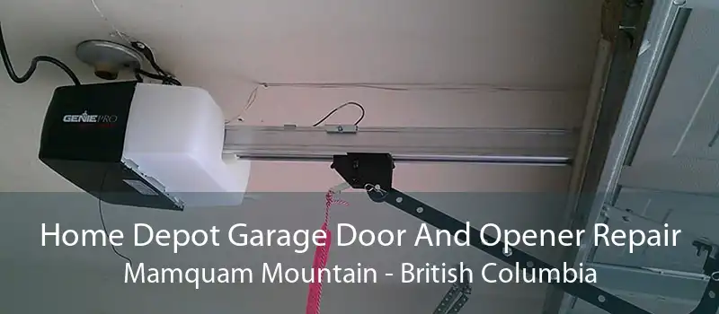 Home Depot Garage Door And Opener Repair Mamquam Mountain - British Columbia