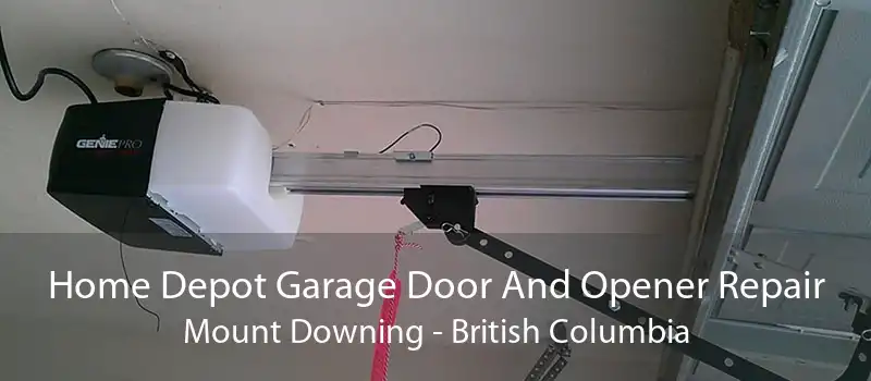 Home Depot Garage Door And Opener Repair Mount Downing - British Columbia