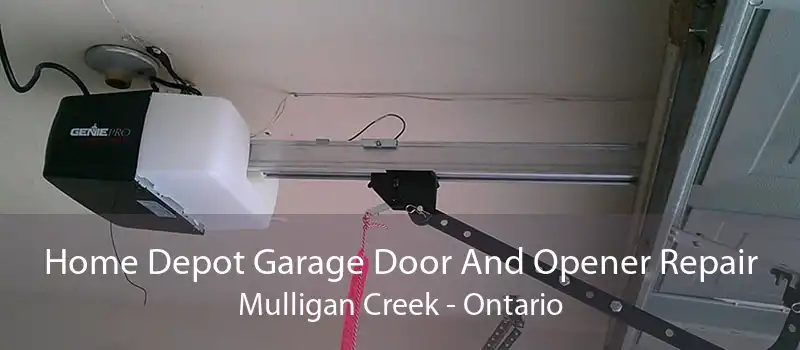 Home Depot Garage Door And Opener Repair Mulligan Creek - Ontario