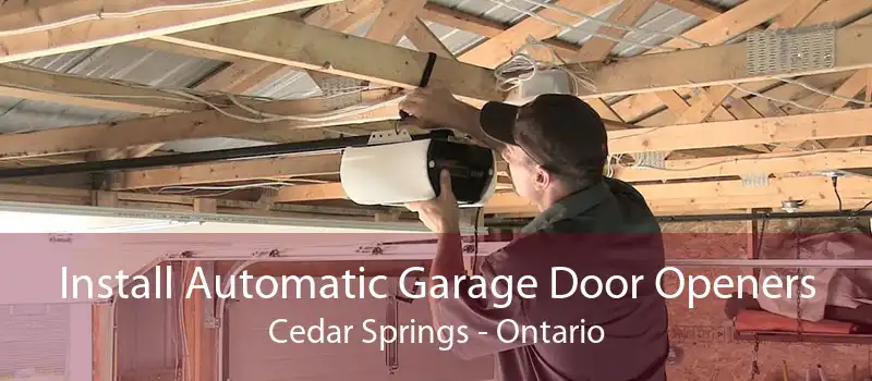 Install Automatic Garage Door Openers Cedar Springs - Ontario