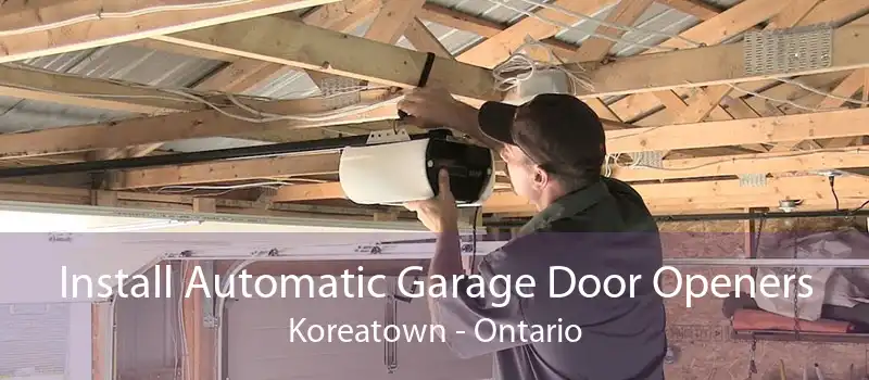 Install Automatic Garage Door Openers Koreatown - Ontario