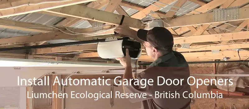 Install Automatic Garage Door Openers Liumchen Ecological Reserve - British Columbia