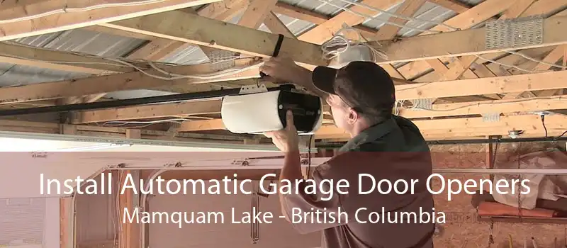 Install Automatic Garage Door Openers Mamquam Lake - British Columbia