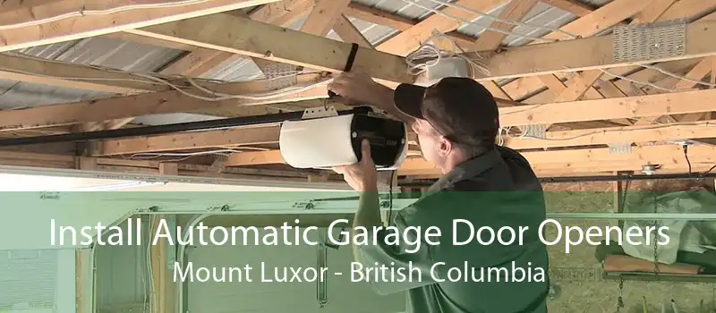 Install Automatic Garage Door Openers Mount Luxor - British Columbia
