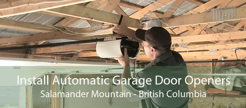 Install Automatic Garage Door Openers Salamander Mountain - British Columbia