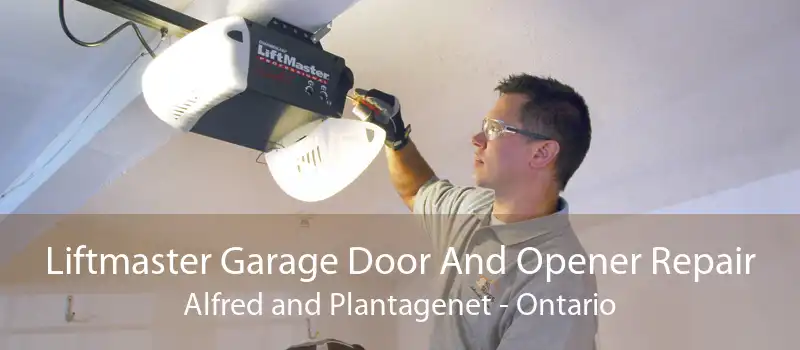 Liftmaster Garage Door And Opener Repair Alfred and Plantagenet - Ontario