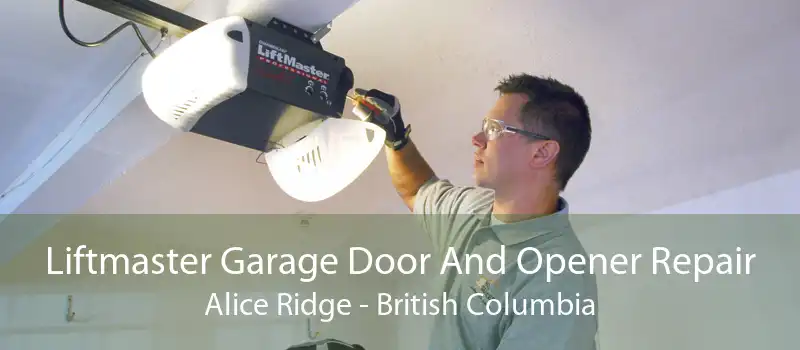 Liftmaster Garage Door And Opener Repair Alice Ridge - British Columbia