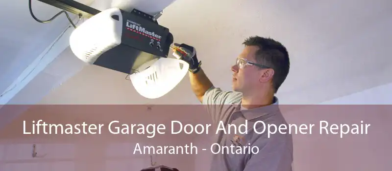 Liftmaster Garage Door And Opener Repair Amaranth - Ontario