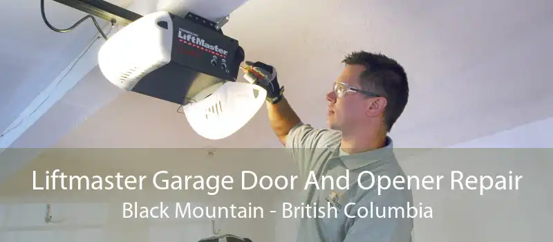 Liftmaster Garage Door And Opener Repair Black Mountain - British Columbia