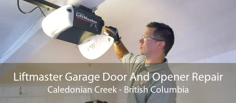 Liftmaster Garage Door And Opener Repair Caledonian Creek - British Columbia