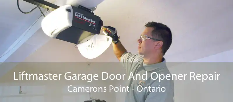 Liftmaster Garage Door And Opener Repair Camerons Point - Ontario