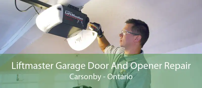 Liftmaster Garage Door And Opener Repair Carsonby - Ontario