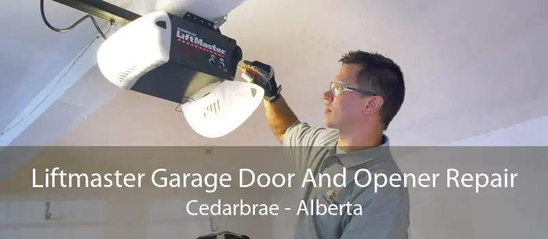 Liftmaster Garage Door And Opener Repair Cedarbrae - Alberta