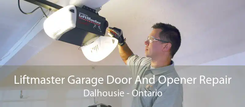 Liftmaster Garage Door And Opener Repair Dalhousie - Ontario