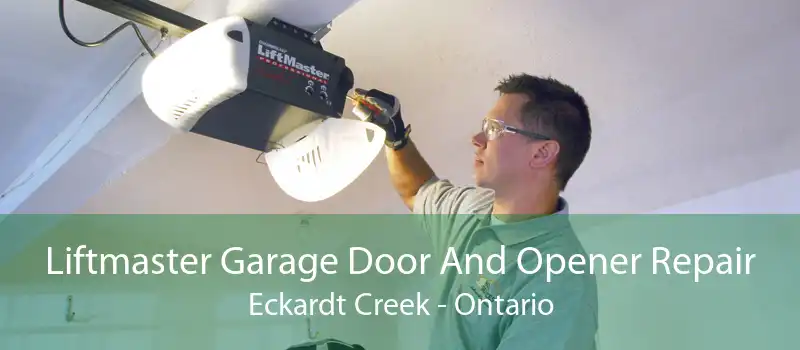 Liftmaster Garage Door And Opener Repair Eckardt Creek - Ontario