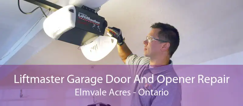 Liftmaster Garage Door And Opener Repair Elmvale Acres - Ontario