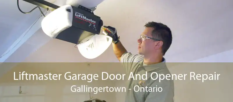 Liftmaster Garage Door And Opener Repair Gallingertown - Ontario
