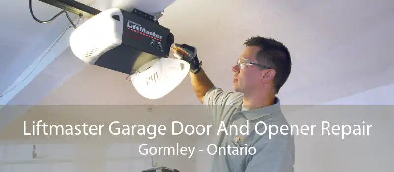 Liftmaster Garage Door And Opener Repair Gormley - Ontario