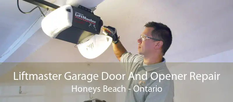 Liftmaster Garage Door And Opener Repair Honeys Beach - Ontario