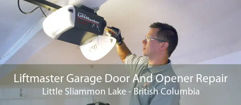 Liftmaster Garage Door And Opener Repair Little Sliammon Lake - British Columbia