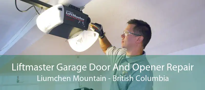 Liftmaster Garage Door And Opener Repair Liumchen Mountain - British Columbia
