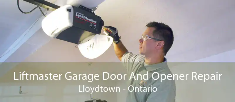 Liftmaster Garage Door And Opener Repair Lloydtown - Ontario