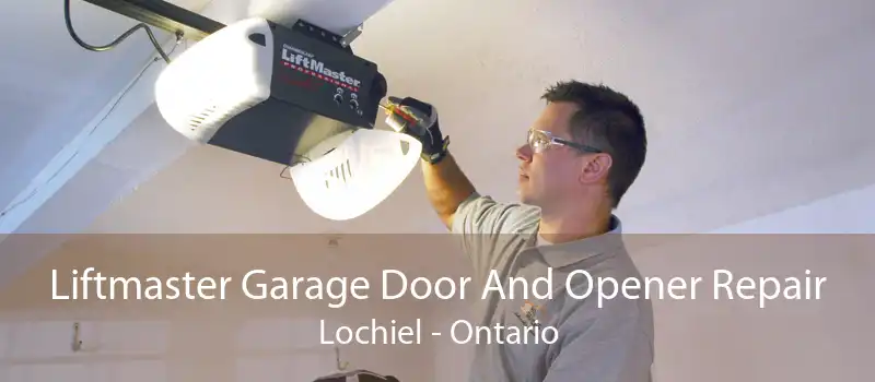 Liftmaster Garage Door And Opener Repair Lochiel - Ontario
