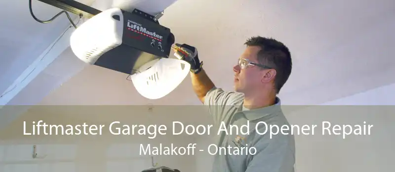 Liftmaster Garage Door And Opener Repair Malakoff - Ontario