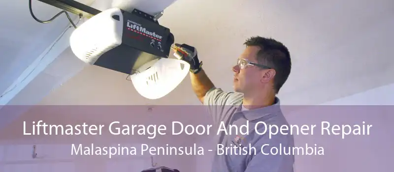 Liftmaster Garage Door And Opener Repair Malaspina Peninsula - British Columbia